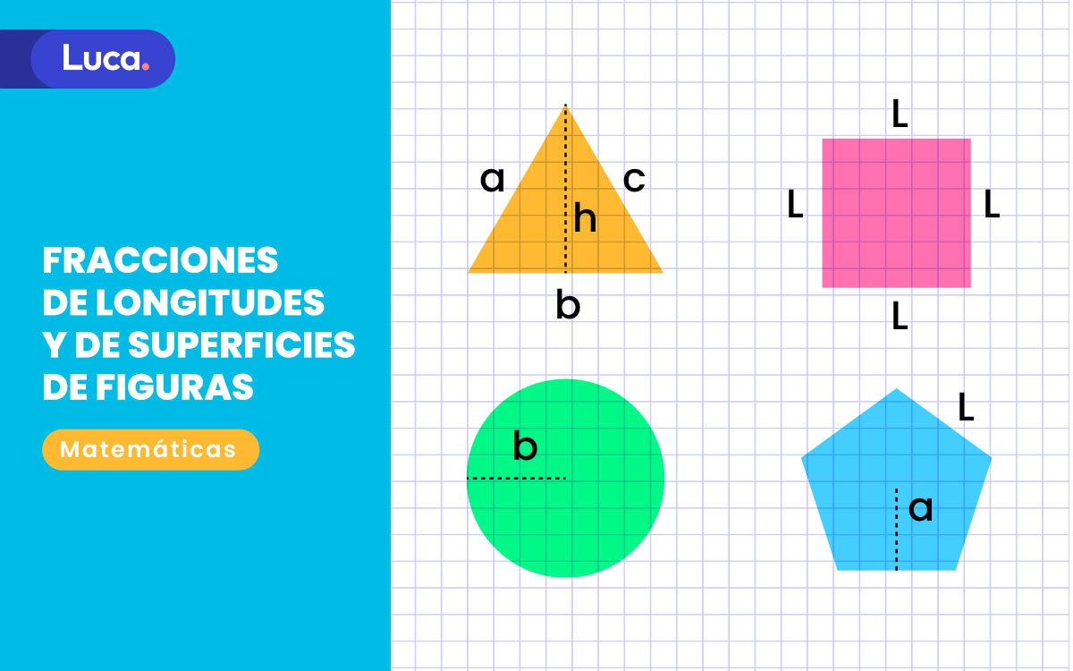 Fracciones de longitudes y de superficies de figuras Fracciones de longitudes y de superficies de figuras