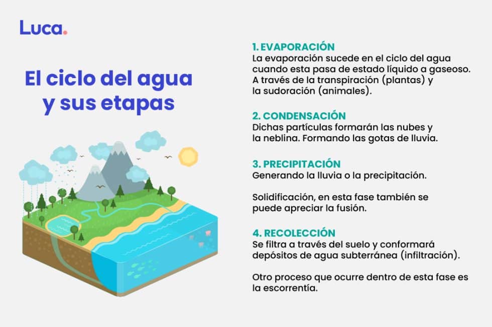 El ciclo del agua, proceso fundamental para la vida